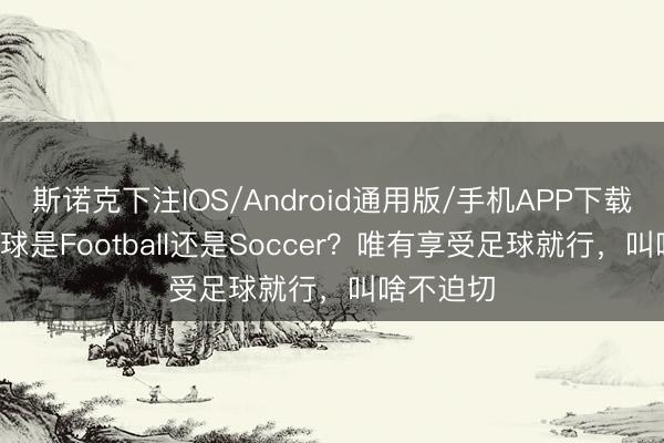斯诺克下注IOS/Android通用版/手机APP下载 TA：足球是Football还是Soccer？唯有享受足球就行，叫啥不迫切
