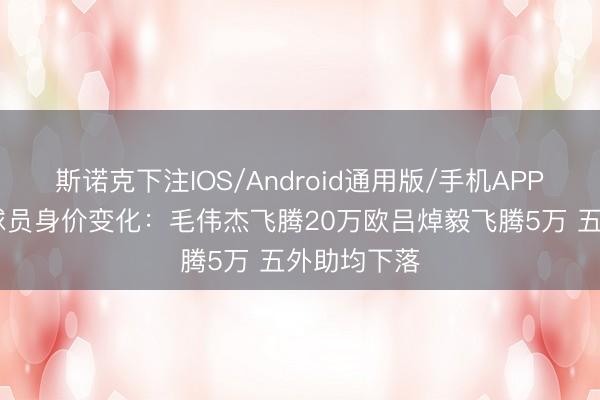 斯诺克下注IOS/Android通用版/手机APP下载 英博球员身价变化：毛伟杰飞腾20万欧吕焯毅飞腾5万 五外助均下落