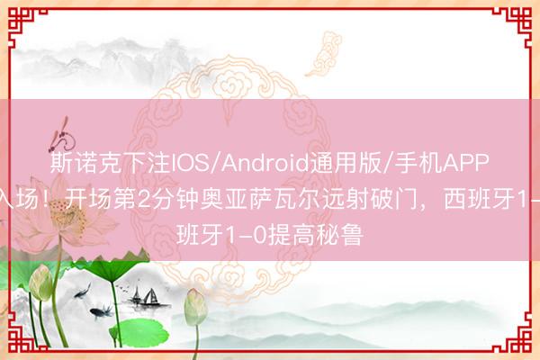 斯诺克下注IOS/Android通用版/手机APP下载 带球入场！开场第2分钟奥亚萨瓦尔远射破门，西班牙1-0提高秘鲁
