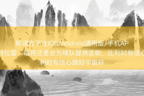 斯诺克下注IOS/Android通用版/手机APP下载 德凯特拉雷：宿将还是会为球队提供匡助，比利时有信心踢好宇宙杯