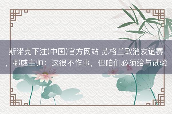 斯诺克下注(中国)官方网站 苏格兰取消友谊赛，挪威主帅：这很不作事，但咱们必须给与试验