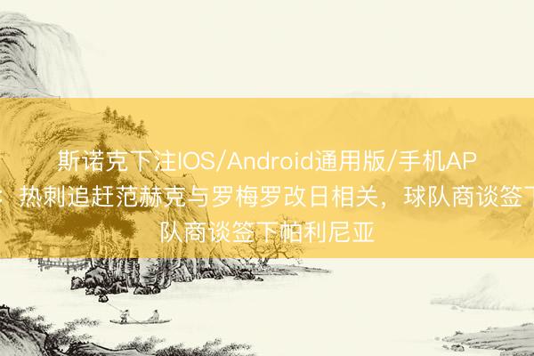 斯诺克下注IOS/Android通用版/手机APP下载 TA：热刺追赶范赫克与罗梅罗改日相关，球队商谈签下帕利尼亚