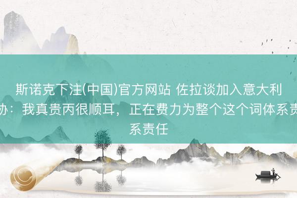 斯诺克下注(中国)官方网站 佐拉谈加入意大利足协：我真贵丙很顺耳，正在费力为整个这个词体系责任