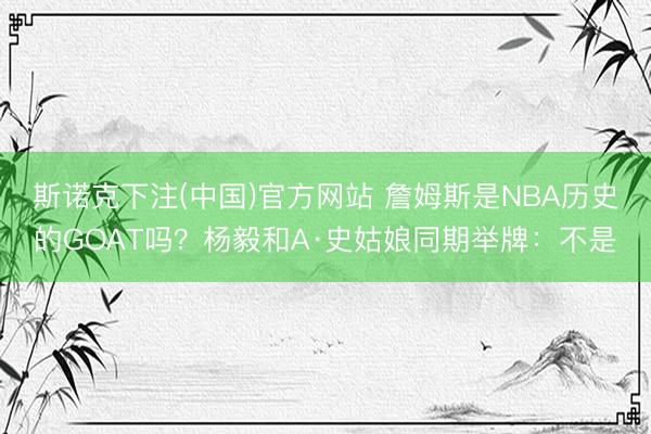 斯诺克下注(中国)官方网站 詹姆斯是NBA历史的GOAT吗？杨毅和A·史姑娘同期举牌：不是