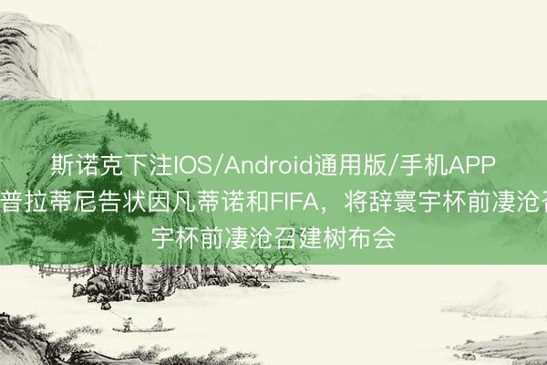 斯诺克下注IOS/Android通用版/手机APP下载 TA：普拉蒂尼告状因凡蒂诺和FIFA，将辞寰宇杯前凄沧召建树布会
