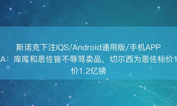 斯诺克下注IOS/Android通用版/手机APP下载 TA：库库和恩佐皆不辱骂卖品，切尔西为恩佐标价1.2亿镑