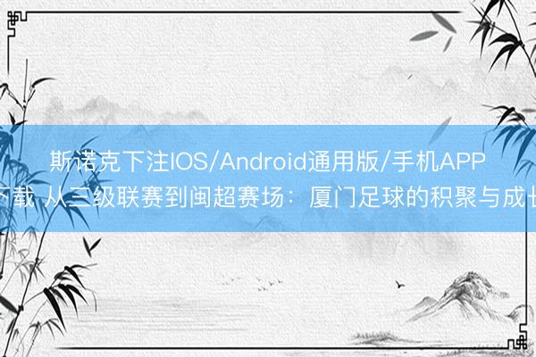 斯诺克下注IOS/Android通用版/手机APP下载 从三级联赛到闽超赛场：厦门足球的积聚与成长