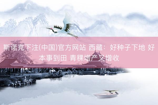 斯诺克下注(中国)官方网站 西藏：好种子下地 好本事到田 青稞增产又增收