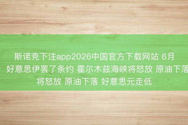 斯诺克下注app2026中国官方下载网站 6月15日周末要闻：好意思伊罢了条约 霍尔木兹海峡将怒放 原油下落 好意思元走低
