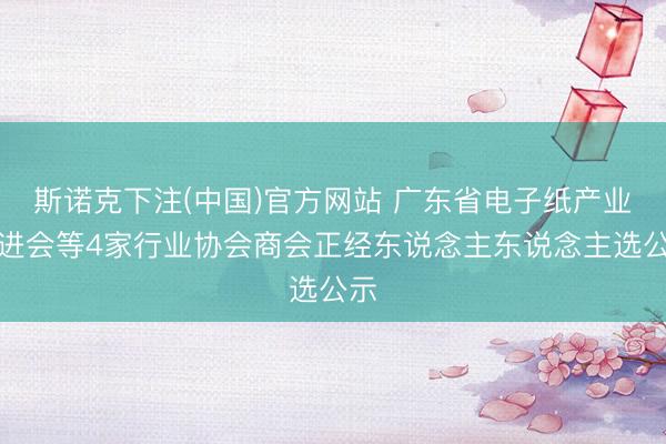 斯诺克下注(中国)官方网站 广东省电子纸产业促进会等4家行业协会商会正经东说念主东说念主选公示